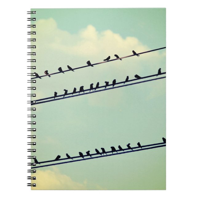 Birds on wires, vintage blue sky. notebook (Front)