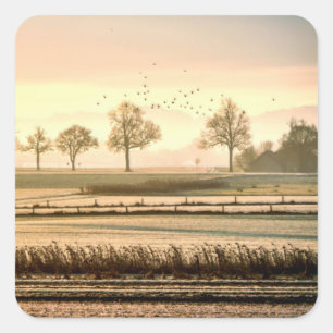 Birds Over Pasture and Meadow Square Sticker