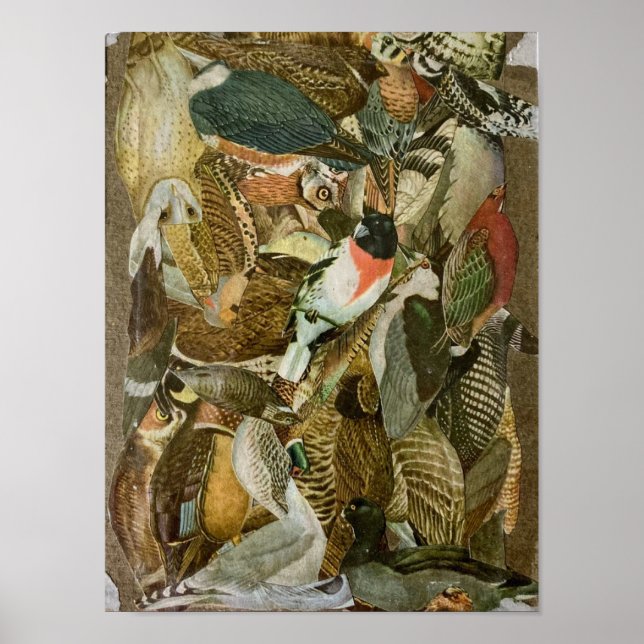 "Birds"- paper collage Poster (Front)