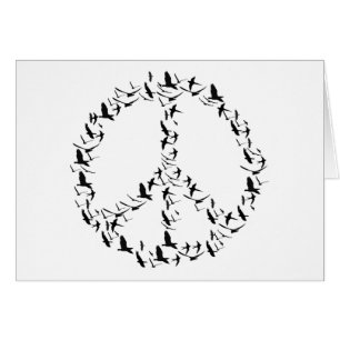 Birds Peace Sign!
