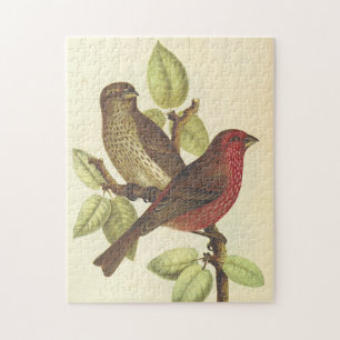 Birds Perched on a Branch, Vintage Look Puzzle
