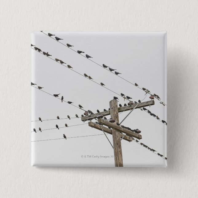 Birds perched on wires 15 cm square badge (Front)