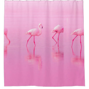 Birds Pink Flamingos Walk on the Lake at the Pink  Shower Curtain