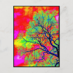 Birds Postcard