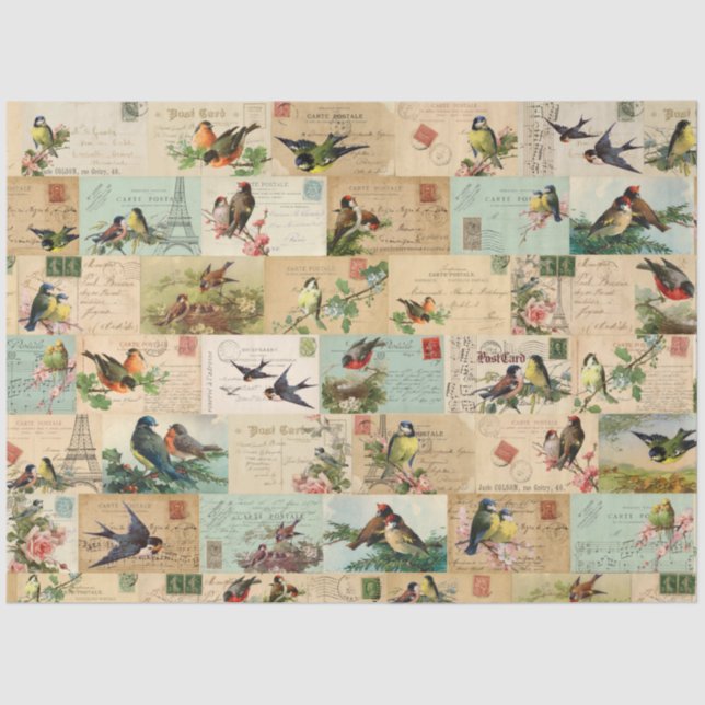 Birds & Postcards Collage Ephemera Tissue Paper (Front)