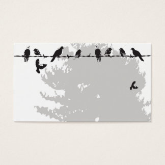 Birds Profile Card