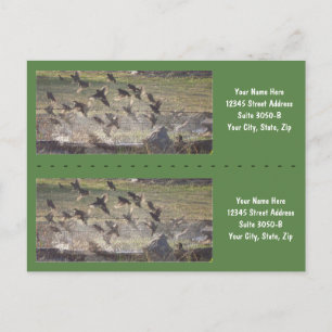 Birds Rising Bookmarkers - Customise! Postcard