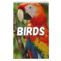 Birds Showcase Collection Wall Calendar