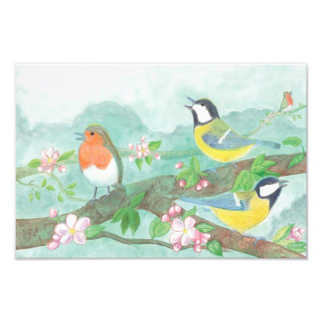 Birds sing on a blossoming tree branch in spring photo print (Front)