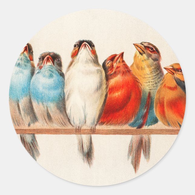 Birds Sitting Pretty and Calm Classic Round Sticker (Front)