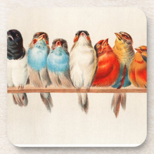 Birds Sitting Pretty and Calm Coaster