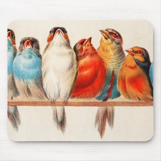 Birds Sitting Pretty and Calm Mouse Mat (Front)