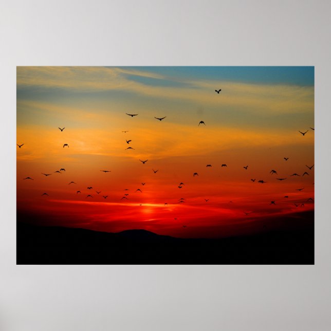 Birds Take Flight at Sunset, picturesque photo, Poster (Front)