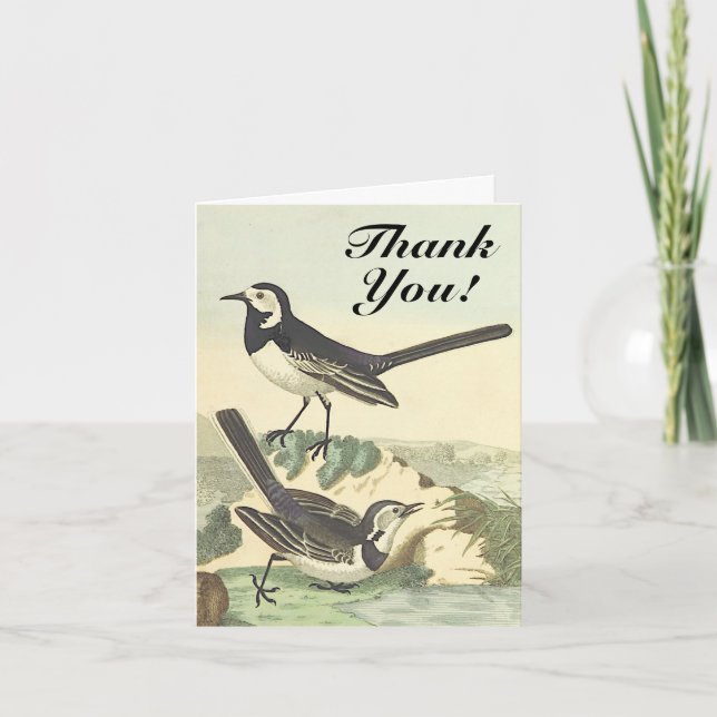 Birds "Thank You!" Vintage Look Card (Front)