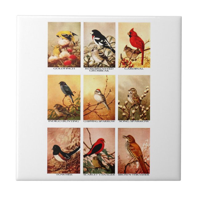 Birds Tile (Front)