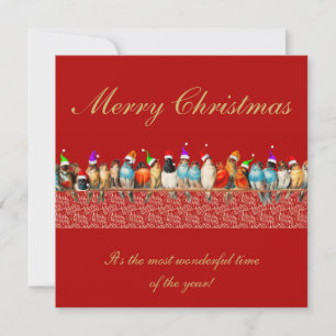 Birds Wearing Santa Hats Christmas Greeting Card