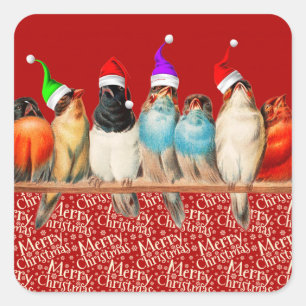 Birds Wearing Santa Hats Sitting on a Perch   Square Sticker