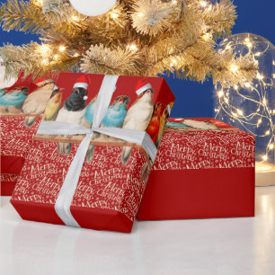 Birds Wearing Santa Hats Sitting on a Perch   Wrapping Paper
