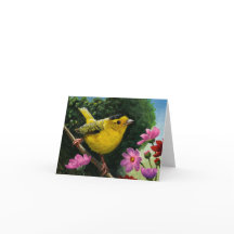 Birds- Wilson's Warbler