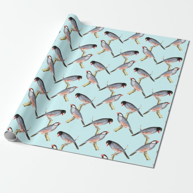 Birds Wrapping Paper (Unrolled)