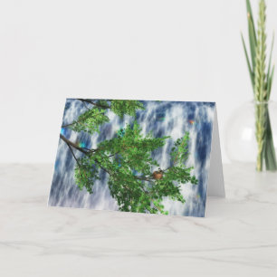 Birdsnest Falls Card