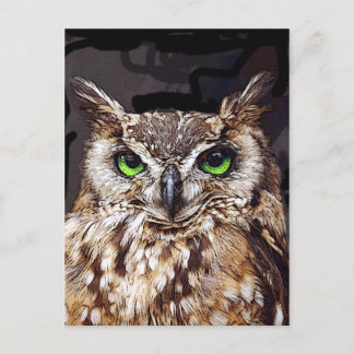 Birduk Postcard