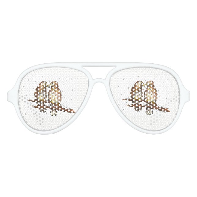 Birdwatching Winter Love Birds Christmas Snow Aviator Sunglasses (Front)