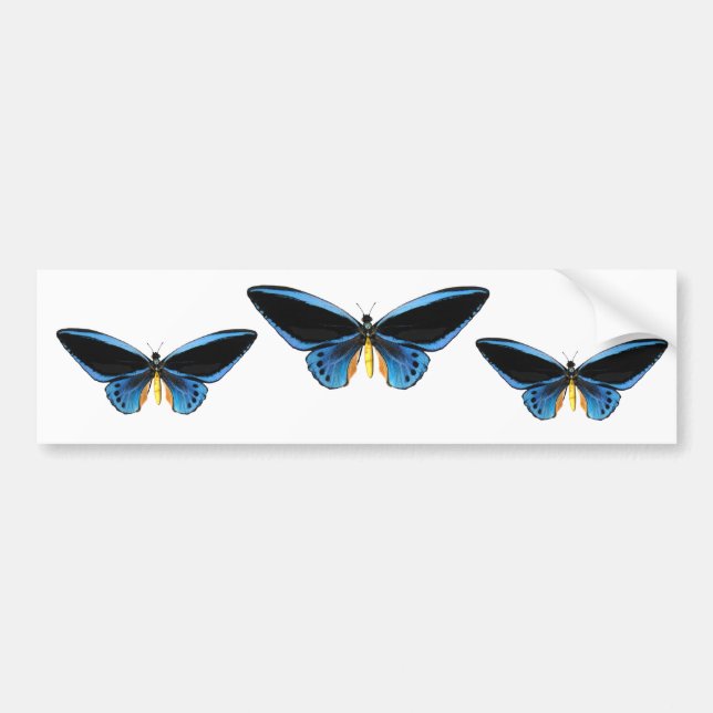 Birdwing Butterfly Bumper Sticker (Front)