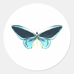 Birdwing Butterfly Classic Round Sticker