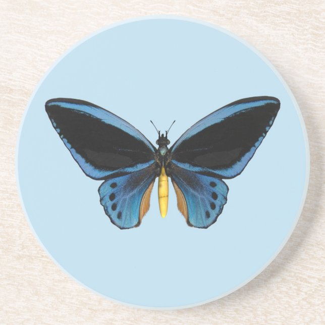 Birdwing Butterfly Coaster (Front)