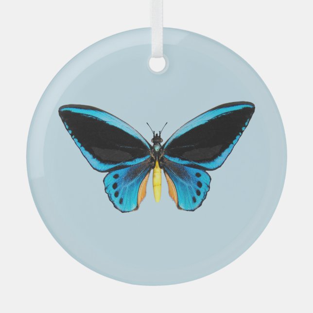 Birdwing Butterfly Glass Tree Decoration (Front)