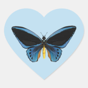 Birdwing Butterfly Heart Sticker
