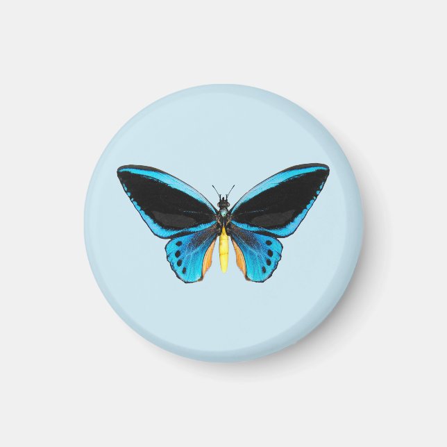 Birdwing Butterfly Magnet (Front)
