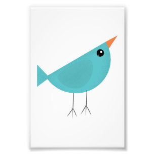 Birdy  photo print