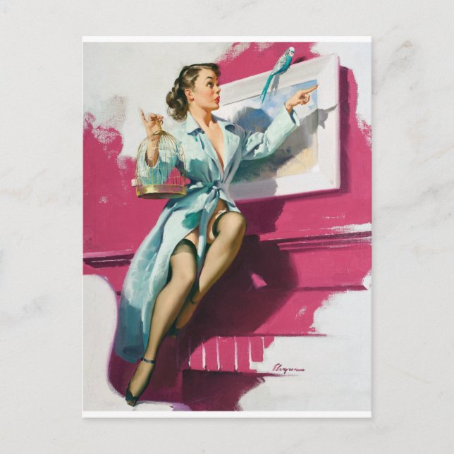 Birdy Pin Up Postcard (Front)