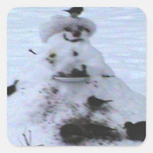 Birdy square sticker