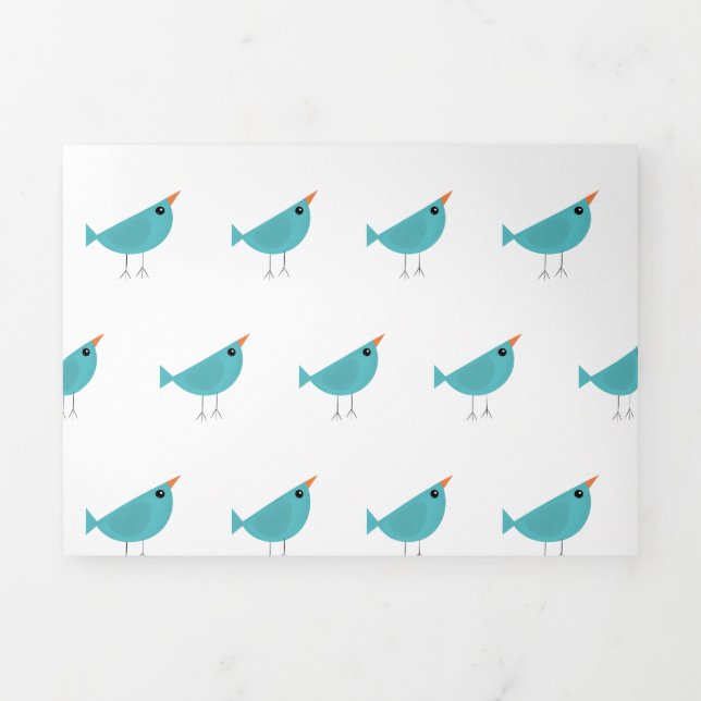 Birdy  Tri-Fold announcement (Cover)