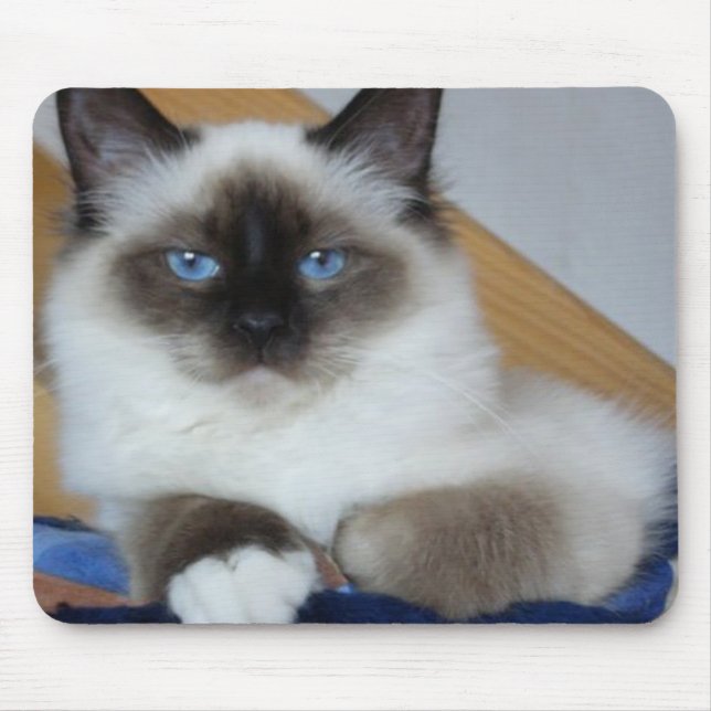 birman 2.png mouse mat (Front)
