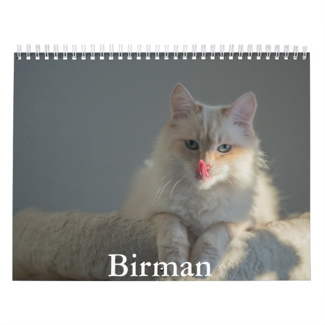 Birman Calendar (Cover)