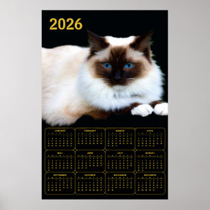 Birman Cat 2026 Calendar  Poster