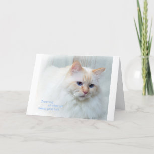 Birman Cat Card