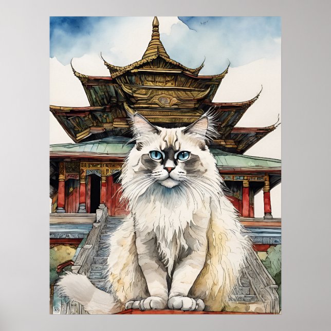 Birman Cat - Cat Art Print (Front)