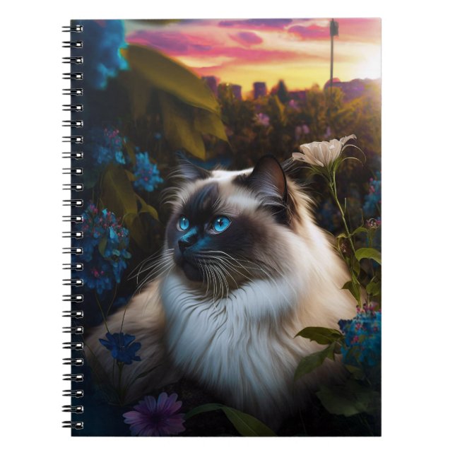 Birman Cat in City Garden at Sundown Notebook (Front)