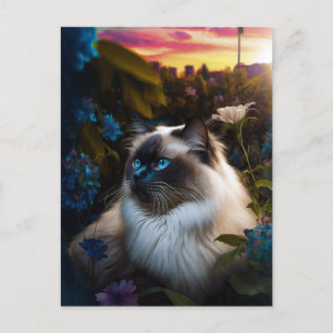Birman Cat in City Garden at Sundown Postcard