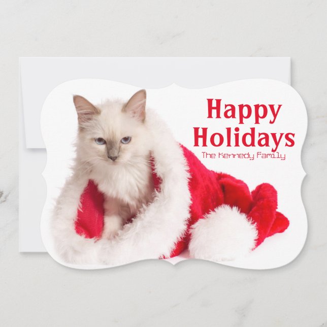 Birman Cat In Santa Hat Holiday Card (Front)