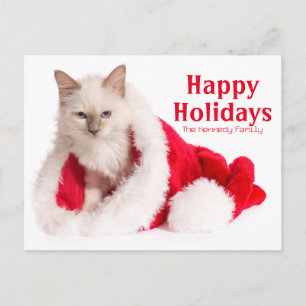 Birman Cat In Santa Hat Holiday Postcard