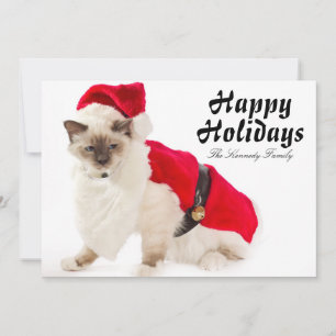 Birman Cat In Santa Suit Holiday Card