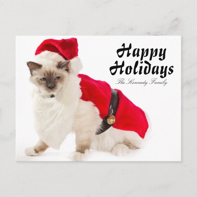 Birman Cat In Santa Suit Holiday Postcard (Front)