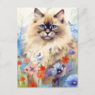 Birman Cat surrounded by flowers Postcard
