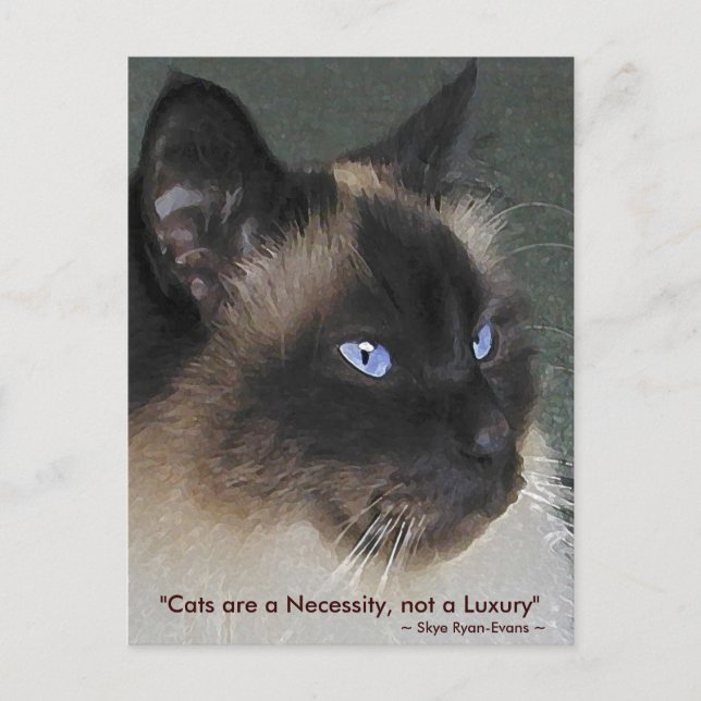 BIRMAN RAGDOLL CAT Collection Postcard (Front)